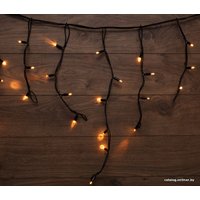 Световой дождь Neon-Night 255-306 152 LED (теплый белый)