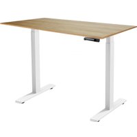 Стол ErgoSmart Manual Desk Compact FR 1200х650х25 мм (ЛДСП дуб натуральный/белый)