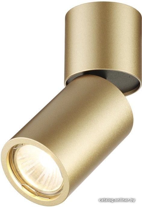 Точечный светильник Odeon Light Duetta 3895/1C