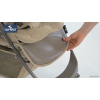 Коляска прогулочная «книга» Lorelli Daisy 2021 (розовый)