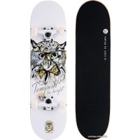 Скейтборд Tempish Golden Owl