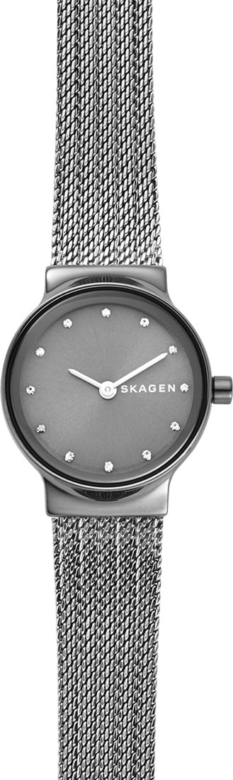 

Наручные часы Skagen SKW2700