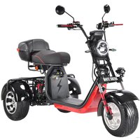 Электроскутер White Siberia CityCoco WS-Pro Trike 3000W 21Ah (с черными брызговиками)