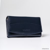 Кошелек Cedar Rovicky R-RD-36-GCL (синий)