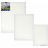 Холст для рисования BRAUBERG Art Classic 191655 (3шт)