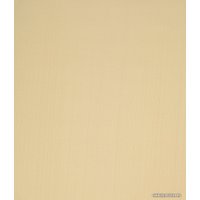 Рулонные шторы Legrand Лайт 42.5x175 (шампань)