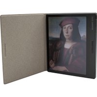 Электронная книга Onyx BOOX Raphael 2