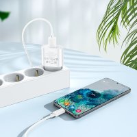 Сетевое зарядное Hoco C109A microUSB (белый)