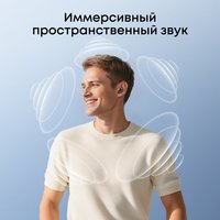 Наушники Anker Soundcore Liberty Buds (черный)