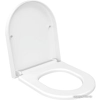 Сиденье для унитаза Ambassador Nord 132T20101 (белый матовый)