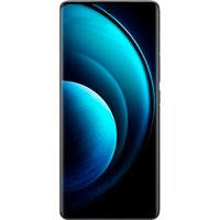 Телефон Vivo X100 16GB/512GB международная версия (черный астероид)