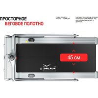 Электрическая беговая дорожка Orlauf Owl (серый) в Пинске