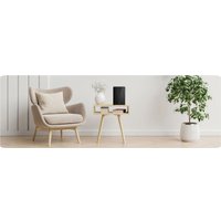 Осушитель воздуха Berdsen BR-22A (чёрный)