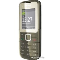 Кнопочный телефон Nokia C2-00