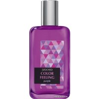 Туалетная вода Brocard Color Feeling Purple EdT (100 мл)