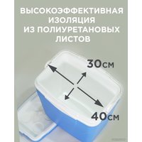 Термобокс Picnic Antarctica 32л (голубой)