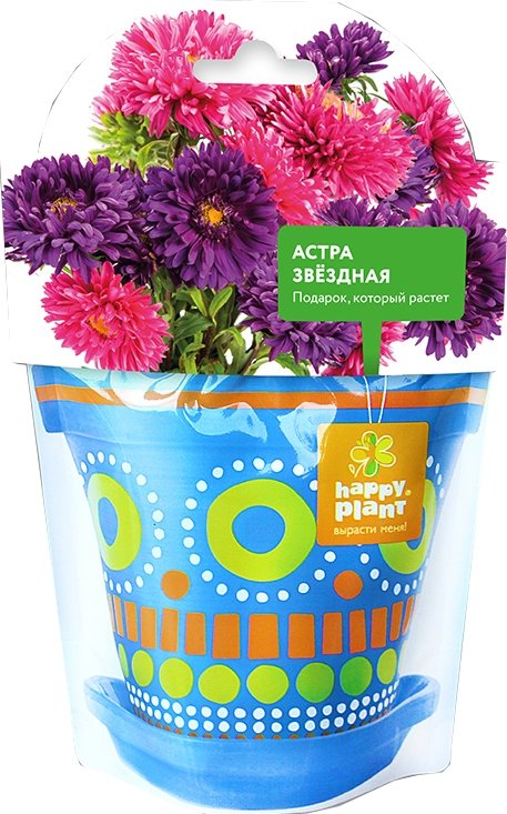 

Семена цветов Happy plant Астра звездная