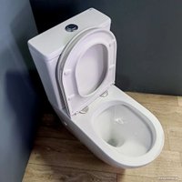 Унитаз напольный Teymi Lina T40103