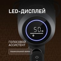 Пылесос Weissgauff V13 BLDC 200 Graphite AquaPro