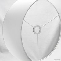 Торшер Lussole LSP-0525