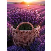 Алмазная мозаика  Феникс+ Корзина с лавандой 70844