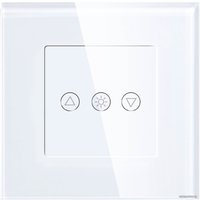 Выключатель Hiper IoT Dimmer WT01G