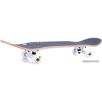 Скейтборд Tempish Golden Owl