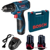 Дрель-шуруповерт Bosch GSR 120-LI Professional 06019F7001 (с 2-мя АКБ, кейс)