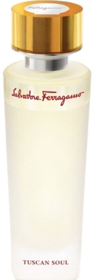

Туалетная вода Salvatore Ferragamo Tuscan Soul EdT (75 мл)