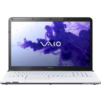 Ноутбук Sony VAIO SVE1713E1EW
