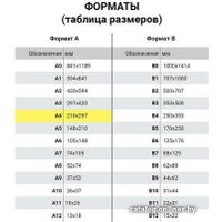 Офисная бумага BRAUBERG А4 80 г/м2 100 л 112451 (зеленый)