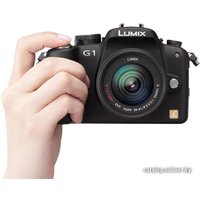 Беззеркальный фотоаппарат Panasonic Lumix DMC-G1