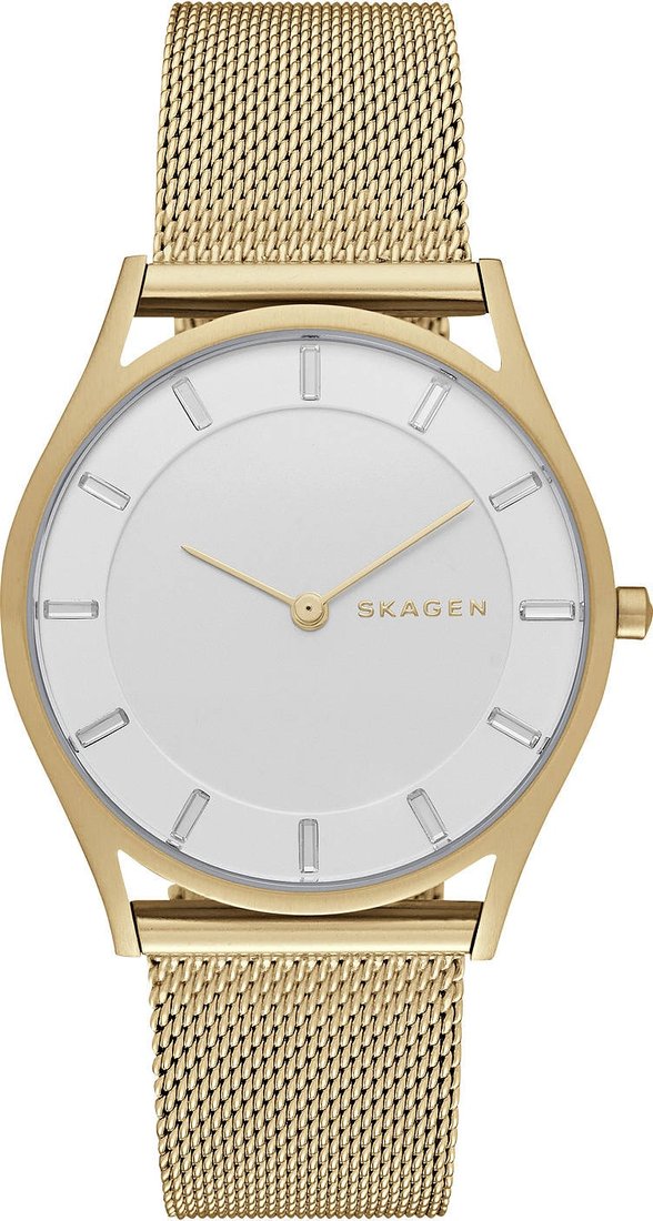 

Наручные часы Skagen SKW2377