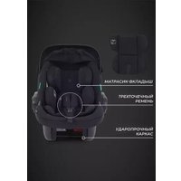 Детское автокресло Rant Carry 2.0 AY329 (черный)