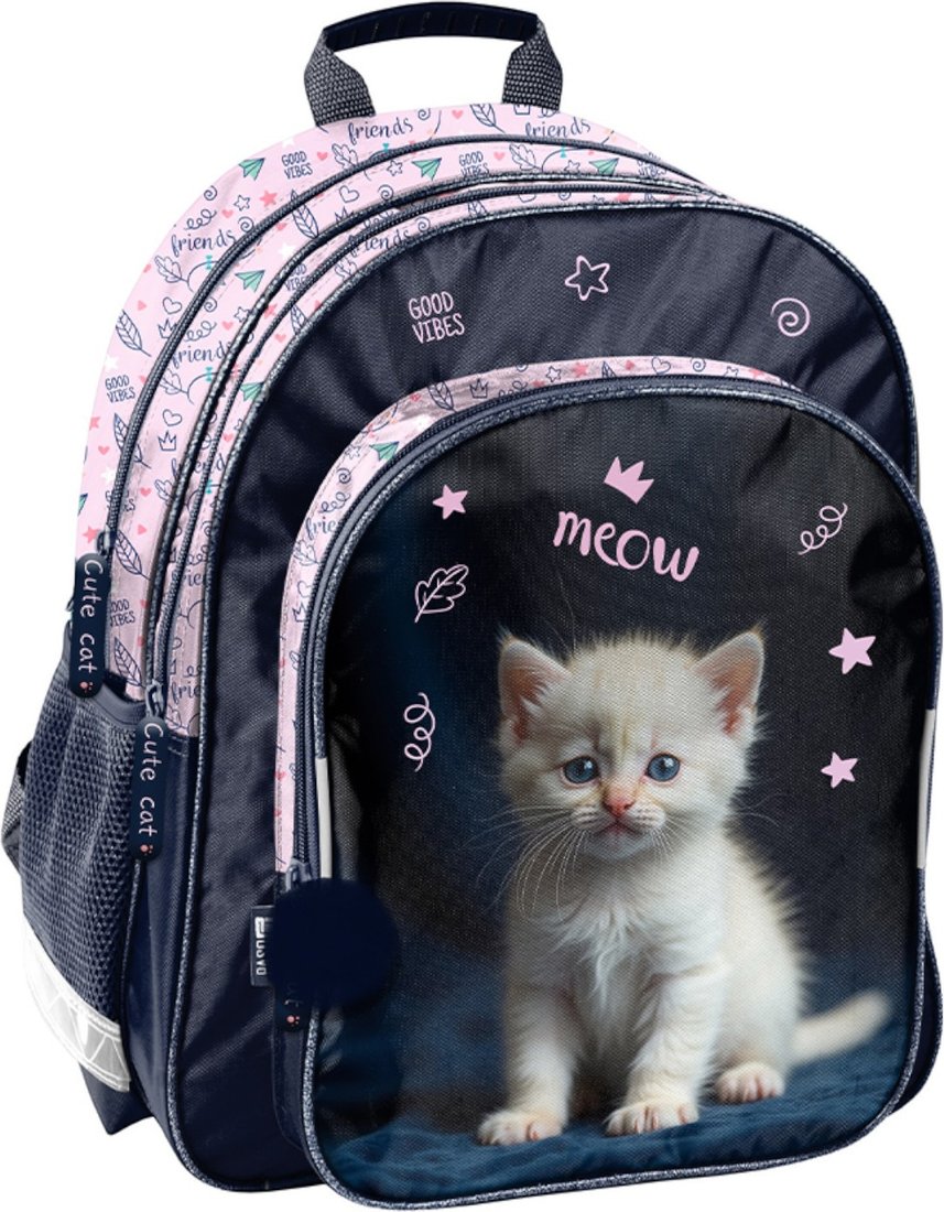 Школьный рюкзак Paso PP26CD-090