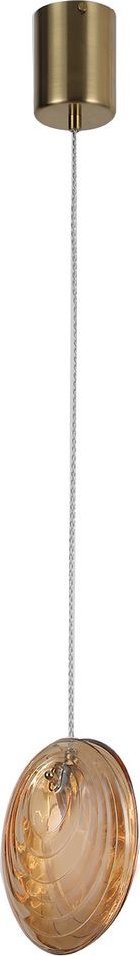 

Подвесная люстра F-Promo Media 4485-1P