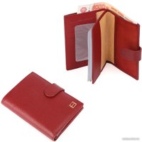 Обложка на документы Fabretti Q09D-51 в Гомеле