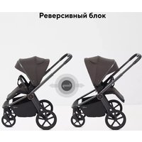 Универсальная коляска Rant Flex Therm RA112 (2 в 1, shine brown)