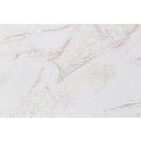 Виниловые обои Палитра PC72115-11