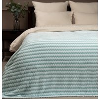 Плед Tex Republic Absolute Зигзаг двухцветный Flannel 200x220 92577 (бирюзовый) в Солигорске