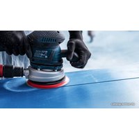 Набор шлифкругов Bosch C470 Best for Wood and Paint 2608608X73 (5 шт)