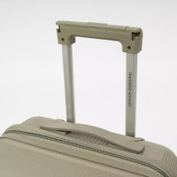 Чемодан-спиннер Francesco Molinary 344-8038/2-20GGN (серый/зеленый)