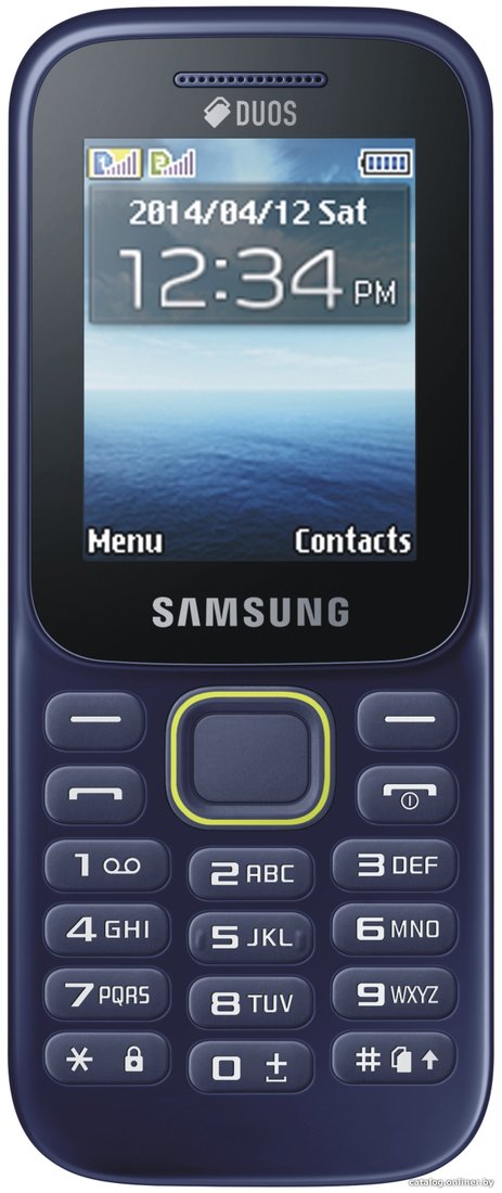 Кнопочный телефон Samsung Guru Music 2 Blue [B310E]
