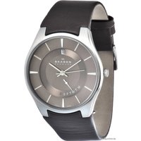 Наручные часы Skagen 989XLSLD