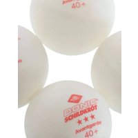 Набор для настольного тенниса Donic-Schildkrot Persson 600 788450