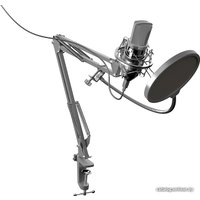 Проводной микрофон Ritmix RDM-169