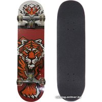 Скейтборд Display Skateboard 31