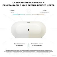 Ванна Wellsee FR.Euphoria 2.0 166x77 235501004 (отдельностоящая ванна белый глянец, экран, ножки золото, сифон-автомат золото)