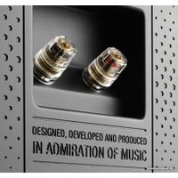 Напольная акустика DALI Oberon 9 (черный)