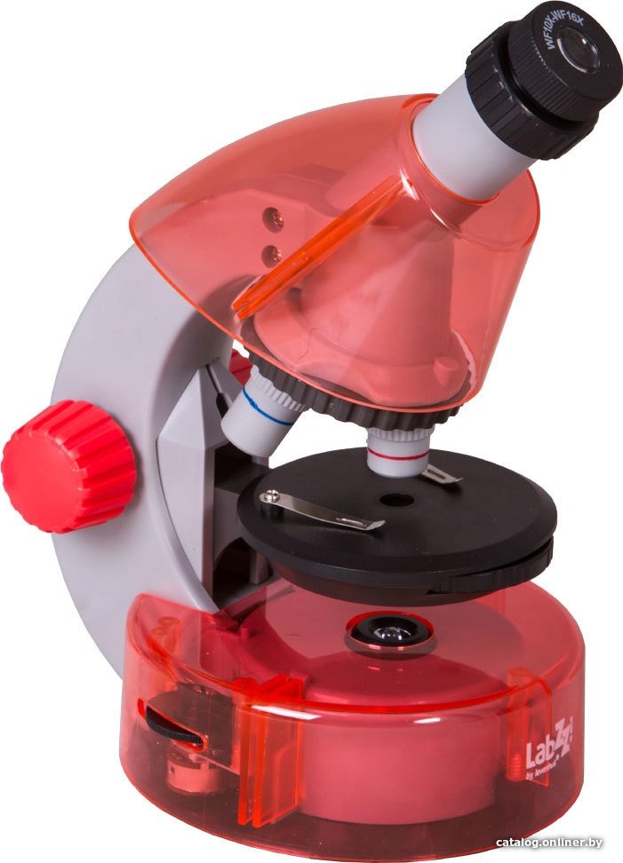 Детский микроскоп Levenhuk LabZZ M101 (апельсин) 69730
